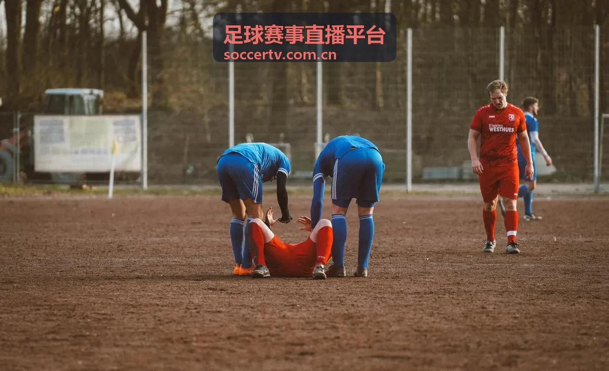 足球赛事直播平台-欧冠直播欧洲之夜